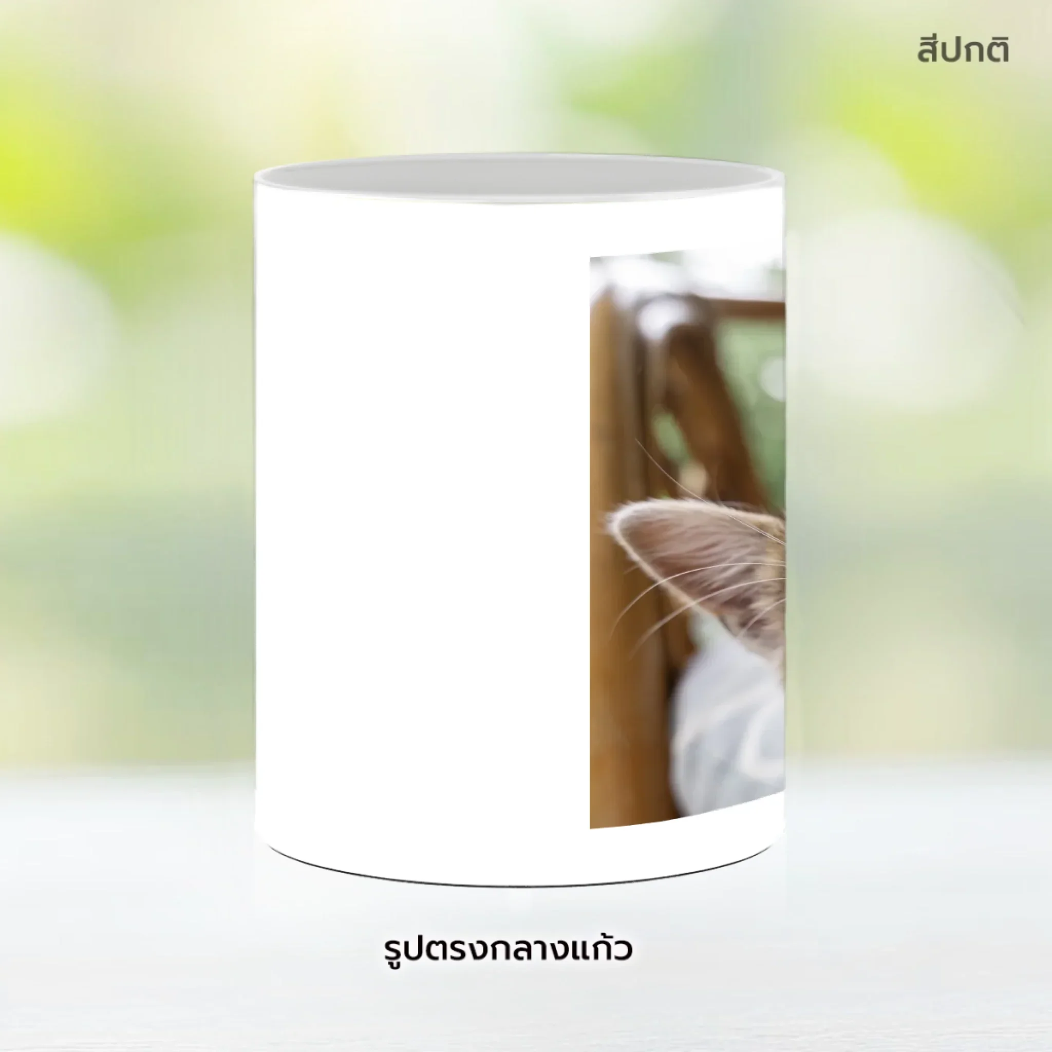 MUG CAT ข้อความเก๋ๆ 2 - Image 9