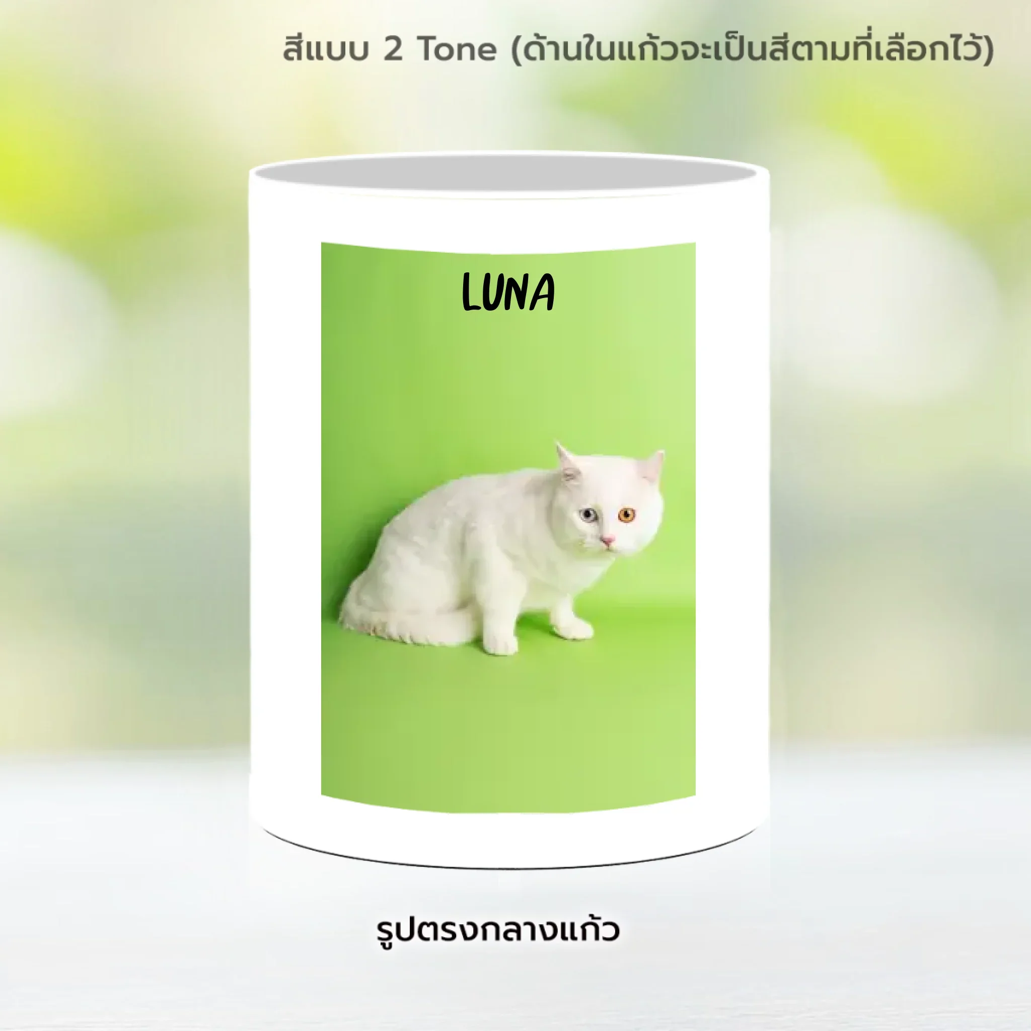 MUG SIMPLE (3 Photos) - Image 10